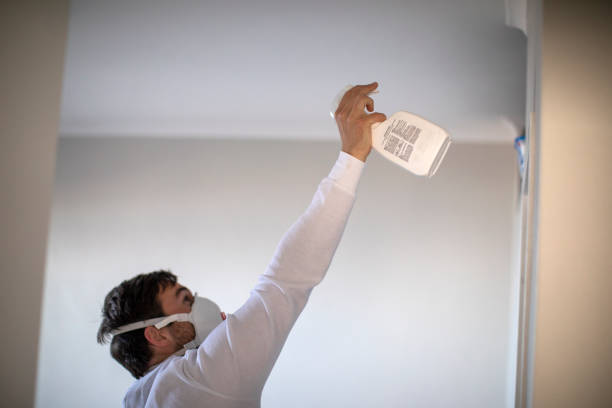 Best Certified Mold Removal  in Salamatof, AK