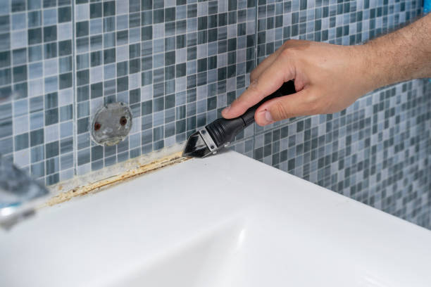Certified Mold Removal in Salamatof, AK