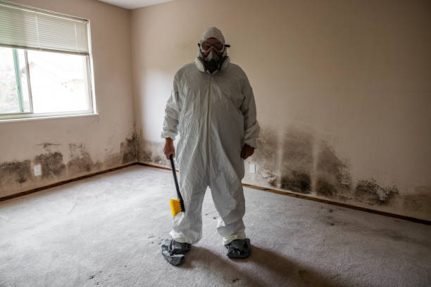 Best Commercial Mold Removal  in Salamatof, AK
